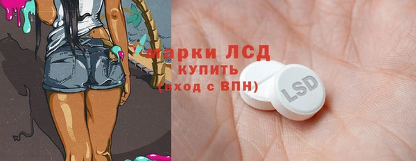 индика Бугульма